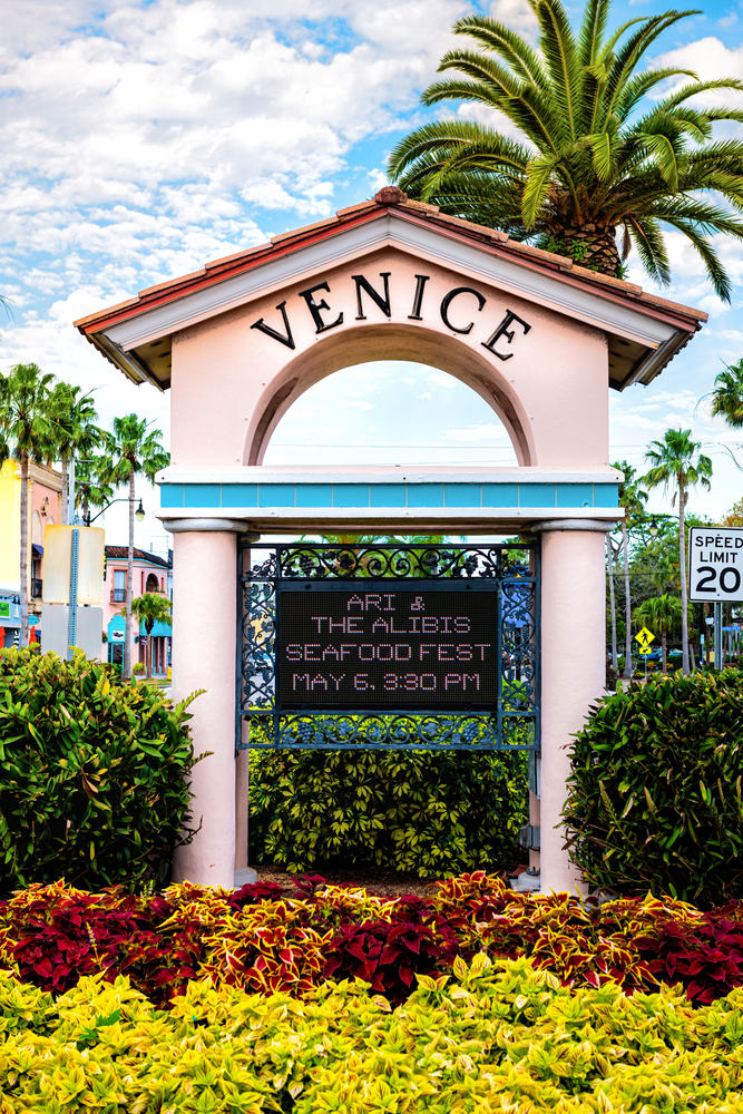 physical therapy in Venice, Florida